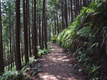 Kumagaya-michi Path