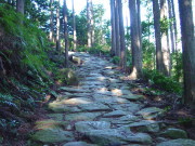 Stone Path of Magose-toge Pass