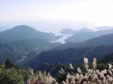 a view from Sakura-no-mori Area