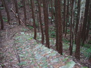 beautiful stone path near Atashika