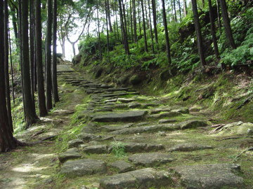 stone path on Hadasu-no-michi
