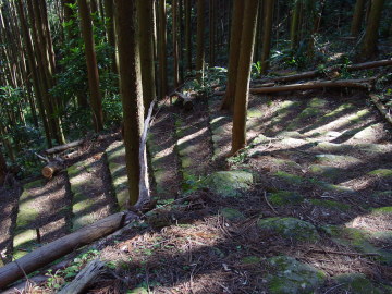 stone path on Obuki-toge Pass